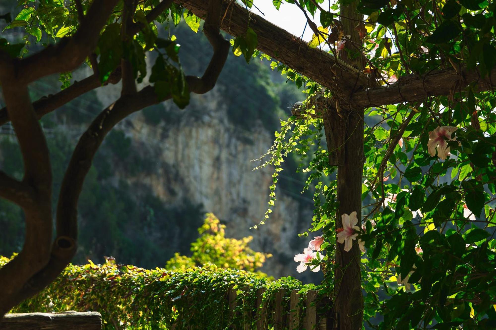 Hotel Botanico San Lazzaro Maiori Esterno foto